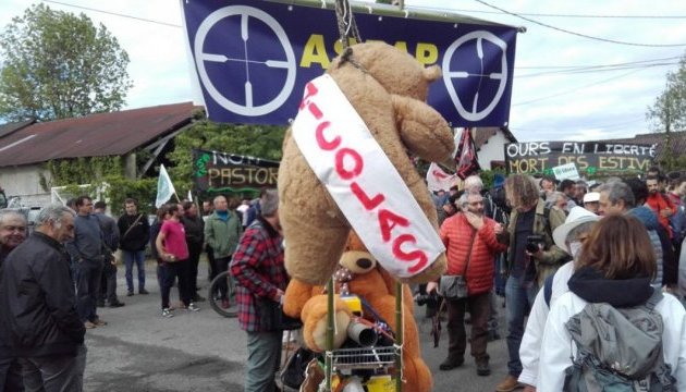 Французи вийшли на протест проти збільшення популяції ведмедів