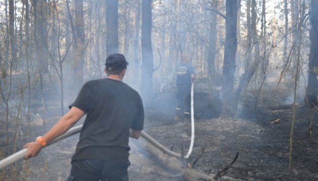 На Чернігівщині гасять пожежу у військовому лісгоспі