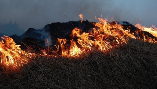 На Херсонщині майже загасили лісову пожежу - ДСНС