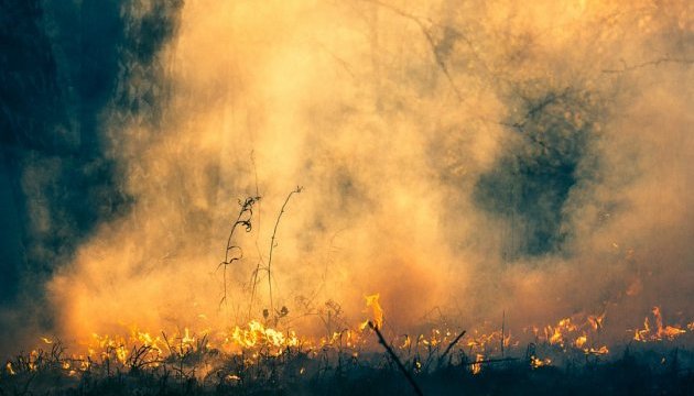 На Корсиці спалахнули лісові пожежі