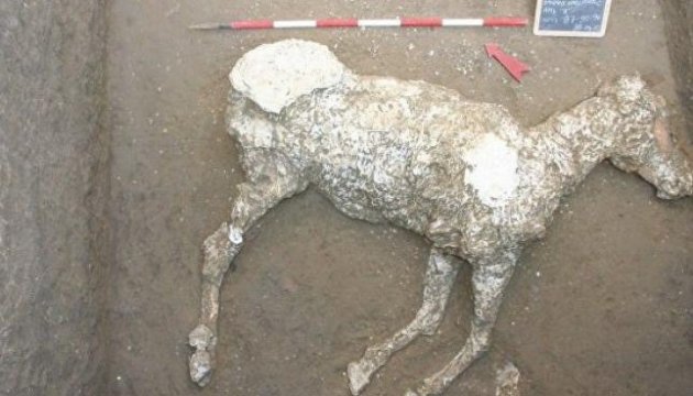 Археологи розкопали в Помпеях стародавні стайні і відбиток коня