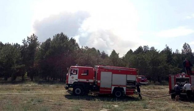 Лісову пожежу на Херсонщині гасять рятувальники із шести областей
