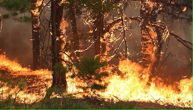 In sieben Regionen extrem hohe Brandgefahr angesagt 