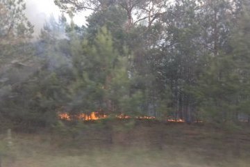 Полиция открыла дело по факту пожара в Чернобыльской зоне