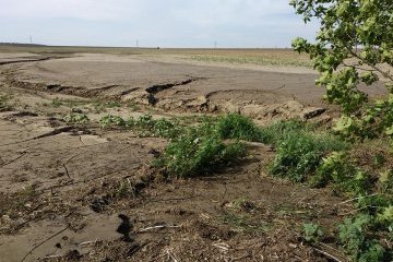 У двох районах Херсонщини сильна злива затопила поля