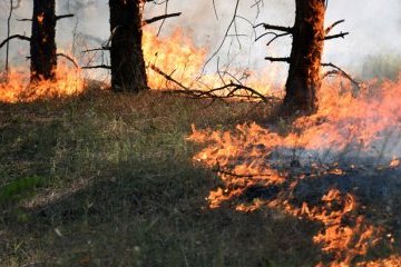 Харківська прокуратура розслідує аварію гелікоптера ДСНС