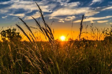 «Пекельна» спека у Києві: ніч на 16 липня побила рекорд за 141 рік