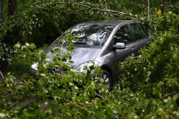 Ураганы в Молдове посрывали даже номера с авто
