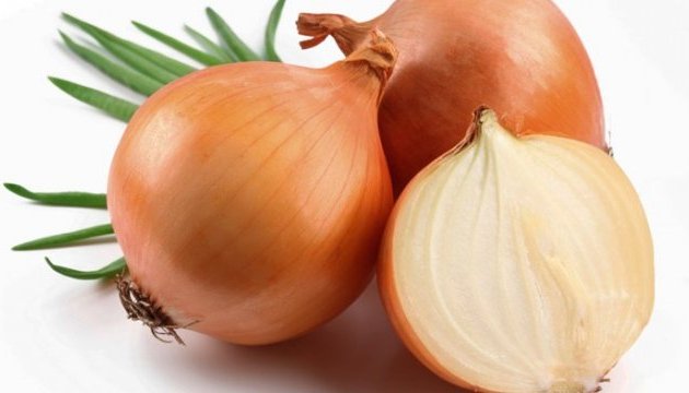 Company from Kherson region increases export of peeled onions to the UK by 7.5 times 