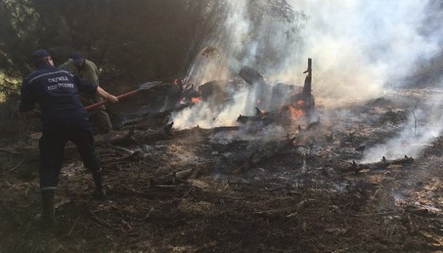 На Херсонщині загасили лісову пожежу на площі 7,5 га