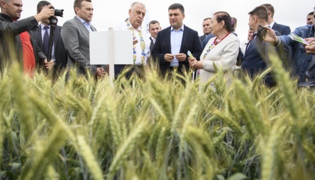 Україна може вдвічі наростити обсяги агровиробництва - Гройсман