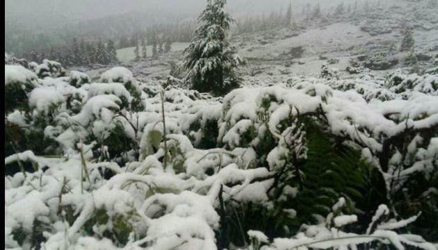 L’hiver au milieu de l’été : La neige a couvert la région de Transcarpatie (photos)