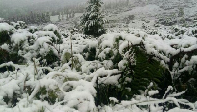 Snow fell in Carpathian mountains