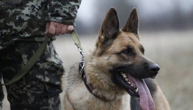 Le Service national des garde-frontières ukrainiens salue la Journée mondiale du chien