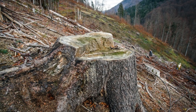 Austrian Embassy in Ukraine commends Poroshenko's veto on wood export ban