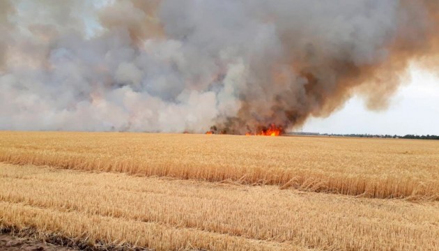 In Oblast Schytomyr brannten 20 ha Weizen
