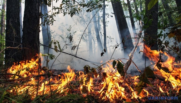 Extreme fire hazard level remains in most regions of Ukraine