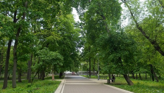 Власти Киева запретили вырубывать парки и Конча-Заспу Власти Киева запретили вырубывать парки и Конча-Заспу