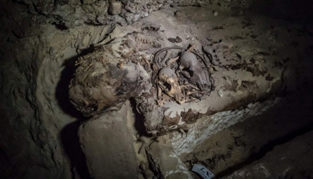 У Єгипті вчені розкопали близько 8 мільйонів мумій собак