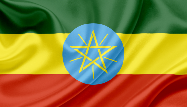 В організації вибуху на мітингу в Ефіопії підозрюють п'ять осіб