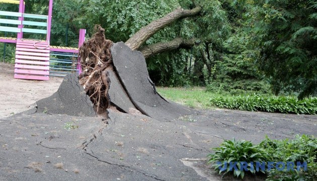 Bad weather leaves over 600 towns and villages in Ukraine without electricity