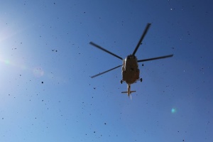 На Буковині прикордонники на вертольоті зупинили двох ухилянтів