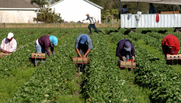 Les Ukrainiens représentent 75% des travailleurs migrants qui travaillent en Pologne