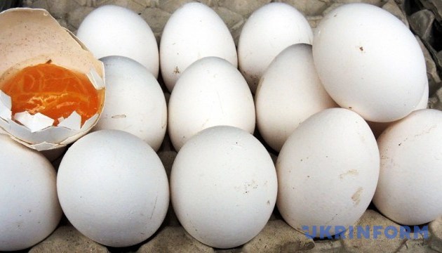 Із продуктів тваринного походження дешевшають лише яйця і сало 