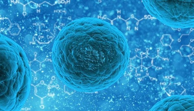 Вчені виміряли швидкість смерті клітини 