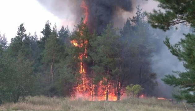 На Миколаївщині горять три гектари лісу