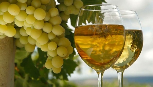 利沃夫将举行葡萄与美酒节