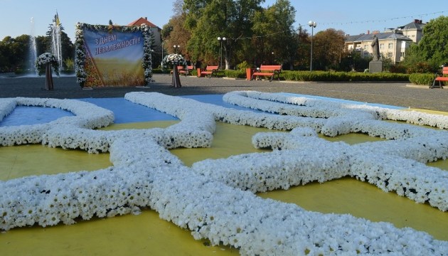 Мапа з хризантем: як Ужгород відзначатиме День Незалежності