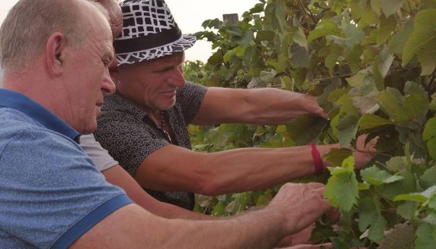 Олег Скрипка планує виготовляти авторське вино