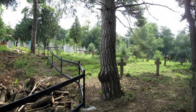 На Прикарпатті впорядковують військове кладовище часів Першої світової