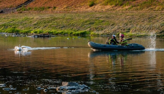В Ужгороде спасли лебедя В Ужгороде спасли лебедя