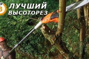 Кращі висоторізи для обрізки дерев
