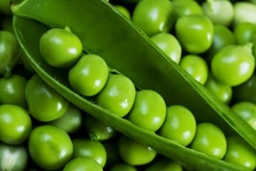 Exportaciones de guisantes de Ucrania se incrementan en un 58%