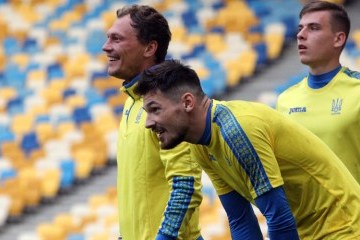Денис Бойко отримав травму, збірна залишилась з одним воротарем