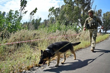 Ukrainian sappers continue mine clearance operations in Donetsk region