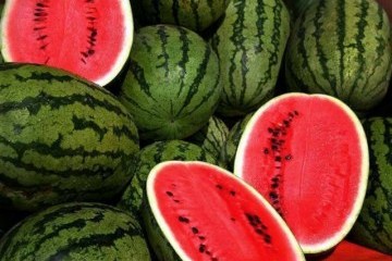 Україна в серпні експортувала кавунів у 1,5 разу більше