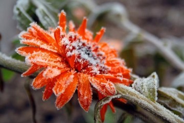 Вночі в Україні похолодає до -3°