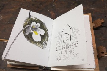 Папі Франциску подарували в Естонії книгу, виготовлену місцевими українцями