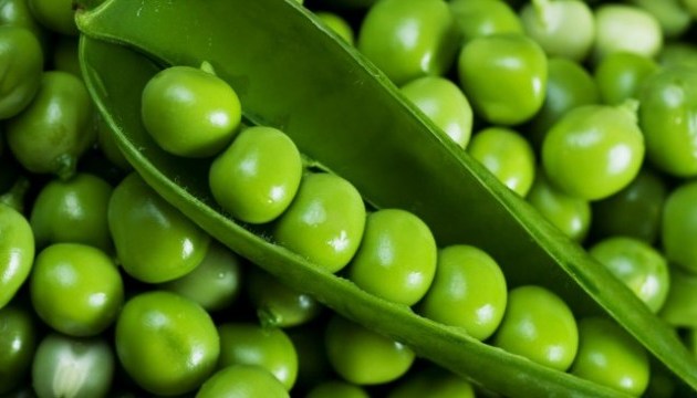 Ukrainian pea exports grow by 58% 