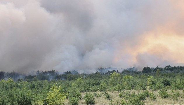 Лісову пожежу під Харковом локалізували на площі у 10 гектарів