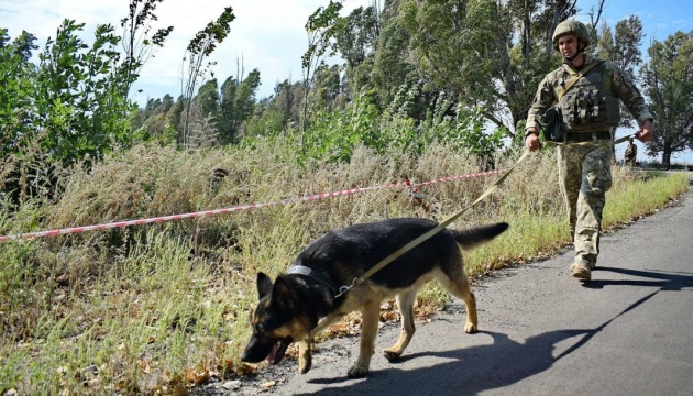 JFO Headquarters on mine clearance: Over 60 ha of land cleared in Donbas over past week