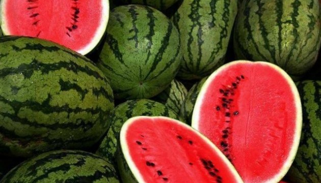 Export von Wassermelonen im August auf das 1,5-fache gestiegen