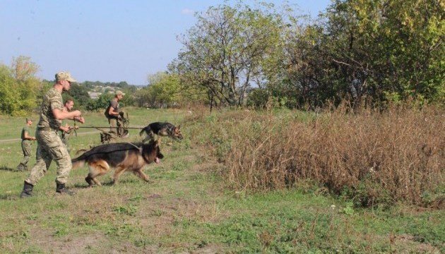 Зниклу на Кіровоградщині дівчину шукають вже місяць