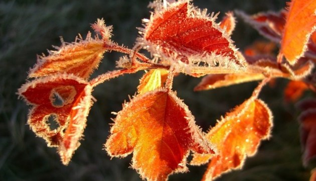 First frosts to hit Ukraine next weekend - weather forecaster