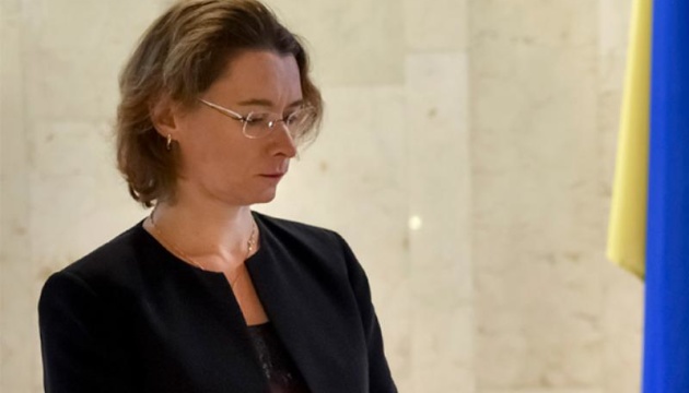 French Ambassador: Paris follows situation around political prisoner Sushchenko 