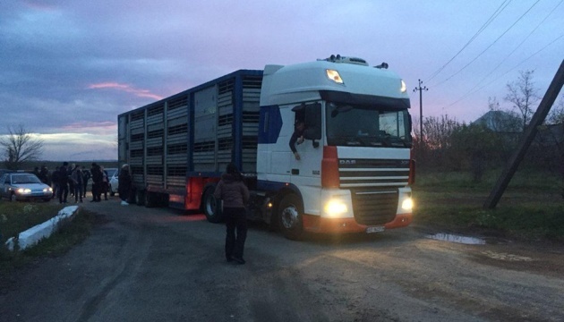 Волонтери збирають ліки для овець, звільнених із 